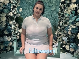 Elektraamotaro