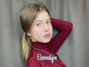 Eleneedgin