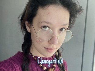 Elenegarfield