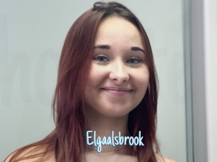 Elgaalsbrook