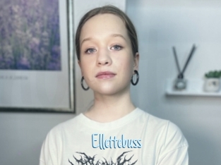 Ellettebuss