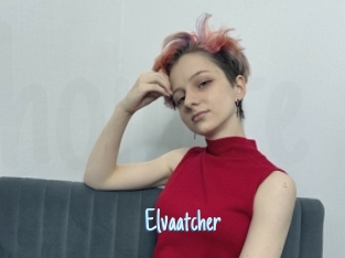 Elvaatcher