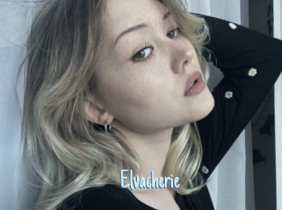 Elvacherie