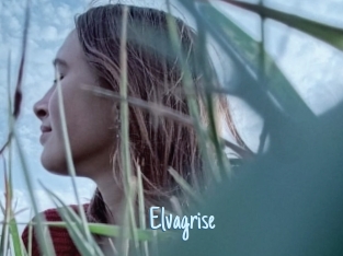 Elvagrise
