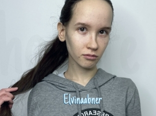 Elvinaabner