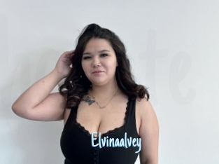 Elvinaalvey