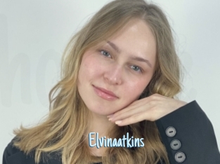 Elvinaatkins