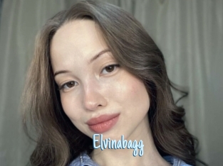 Elvinabagg