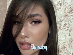 Elwineakey