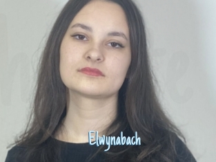 Elwynabach