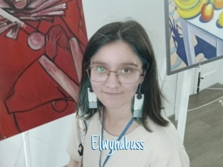 Elwynabuss