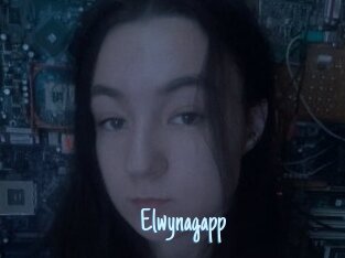 Elwynagapp