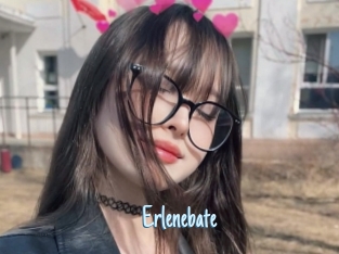 Erlenebate