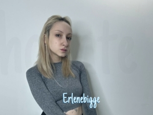 Erlenebigge