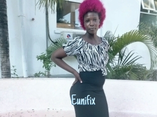 Eunifix