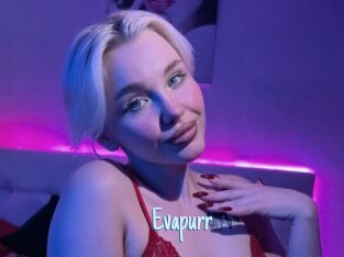 Evapurr