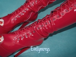 Evellynereys