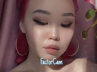 FactorCam