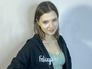 Felicegaler