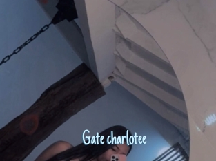 Gate_charlotee