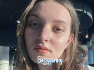 Gaysygarney