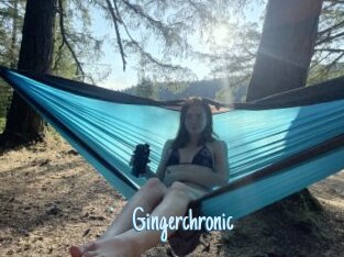 Gingerchronic