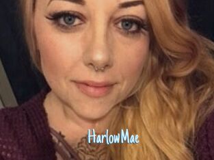 Harlow_Mae