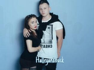 Halleyandbuck