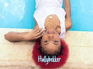 Hallybekker