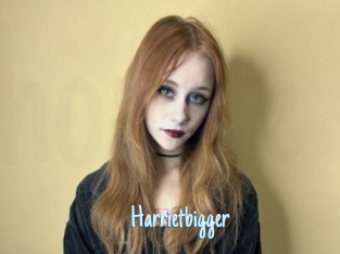 Harrietbigger