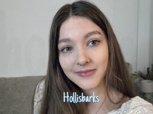 Hollisbarks