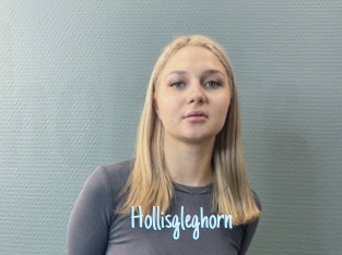 Hollisgleghorn
