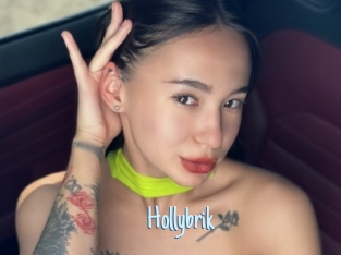 Hollybrik