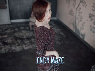 INDY_MAZE