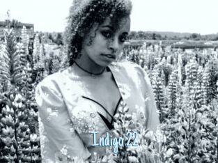 Indigo_22