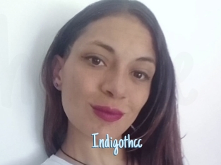 Indigothcc