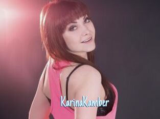 KarinaKamber
