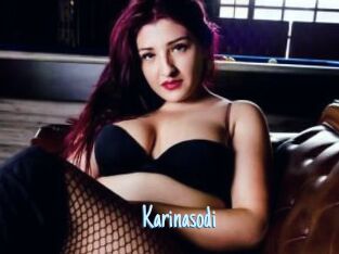 Karinasodi
