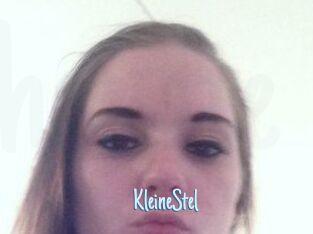 KleineStel