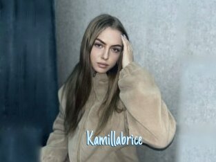 Kamillabrice