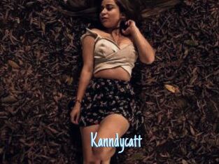 Kanndycatt