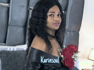 Karinsoul