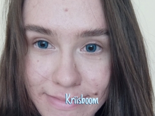 Kriisboom