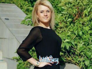 LittleSusy