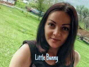 Little_Bunny_