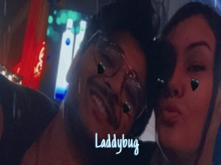 Laddybug
