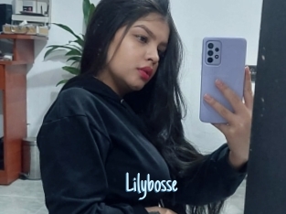 Lilybosse
