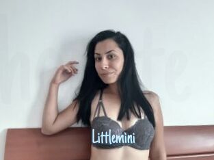 Littlemini