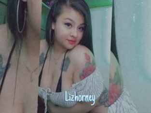 Lizhorney