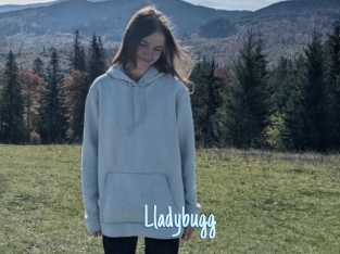 Lladybugg
